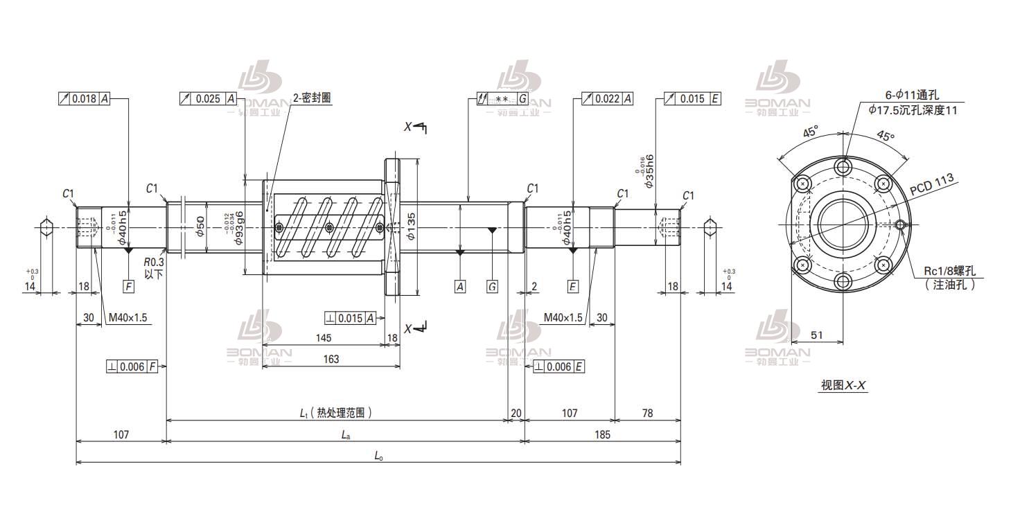 W5007SA-2Z-C5Z10-MA标准滚珠丝杠